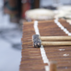Team building musical, team building percussions, Agence team building