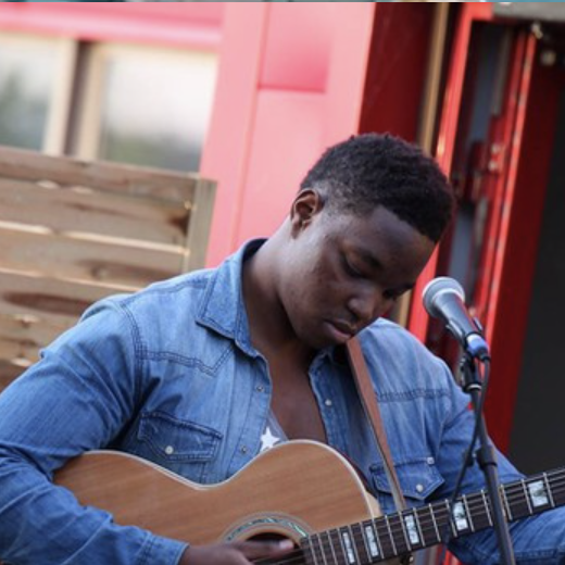 Animation musicale, guitariste chanteur, chanson française, pop,