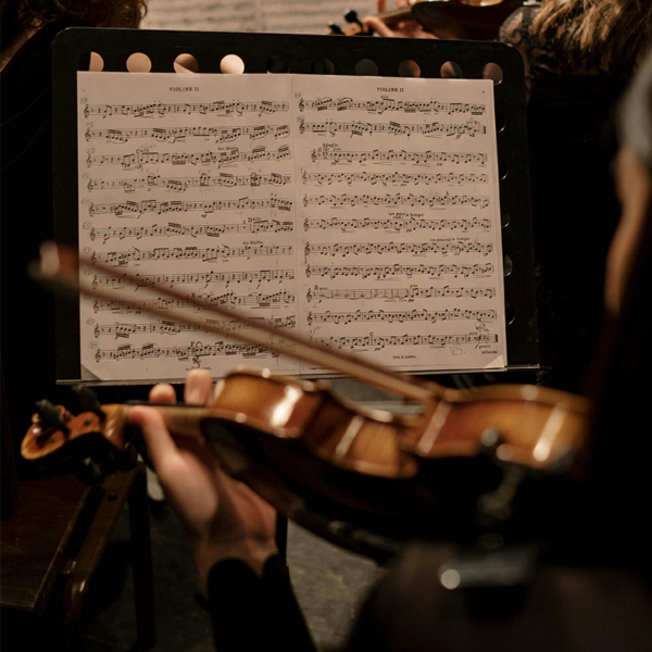 animation séminaire, animation musicale, musique classique