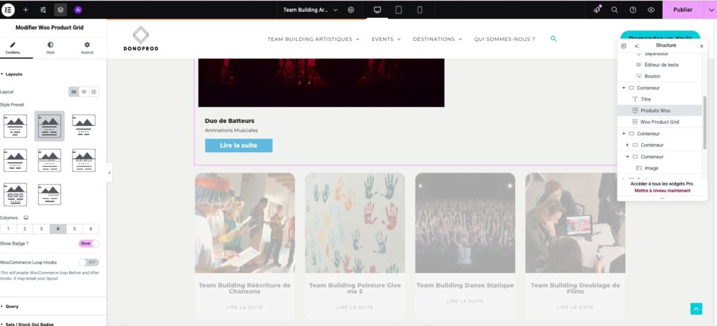 Catégories dans le widget « woo product grid » ?